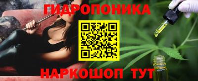 СК Кандалакша